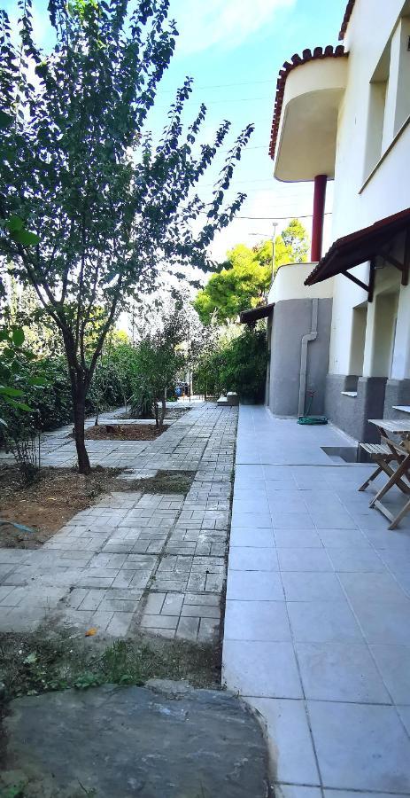 Amazon Spacious 3Bedroom Premium Neighbourhood Ateny Zewnętrze zdjęcie